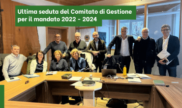 Comitato di gestione-2