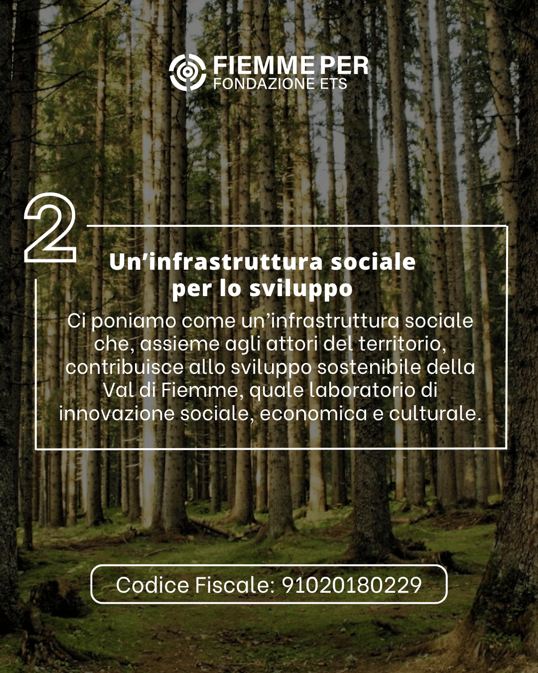 5xmille (3)
