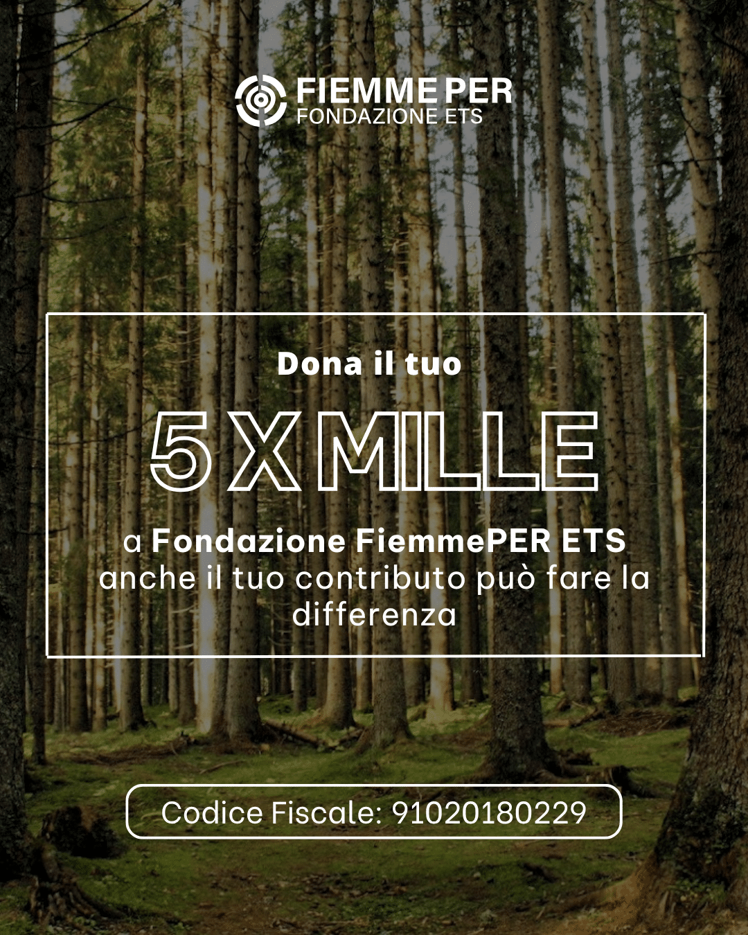 5xmille (6)