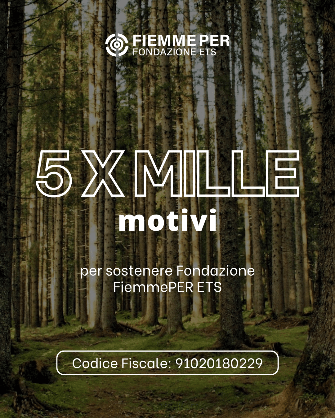 5xmille